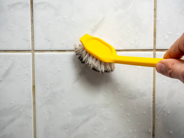 Best Same-Day Mold Removal  in Fruitland, IA