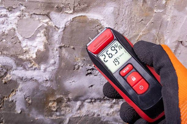 Best Toxic Mold Removal  in Fruitland, IA